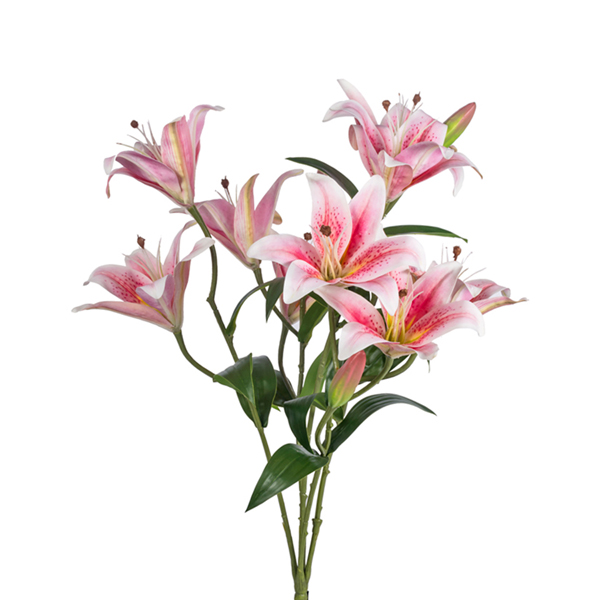 21.5" LILY X 5 PINK
